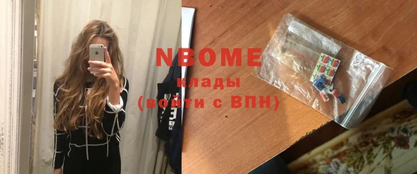 гидра Новозыбков